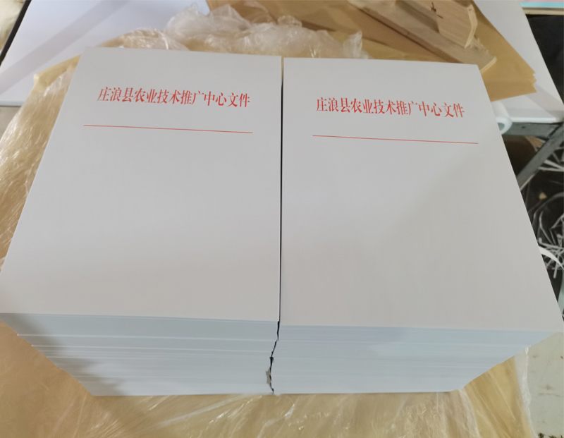 庄浪文头纸